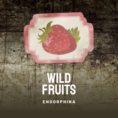 Wild Fruits