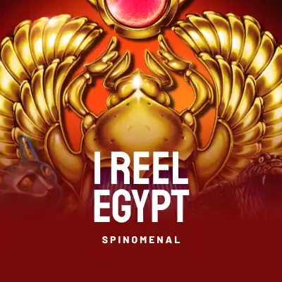 1 Reel Egypt