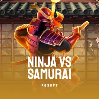 Ninja vs Samurai