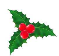 Mistletoe